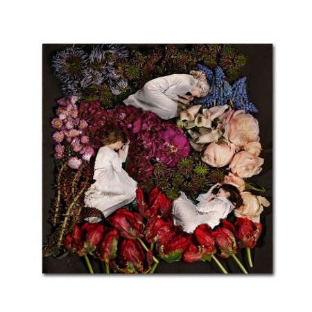 James Hall 'Sleeping In Flowers' Canvas Art,18x18